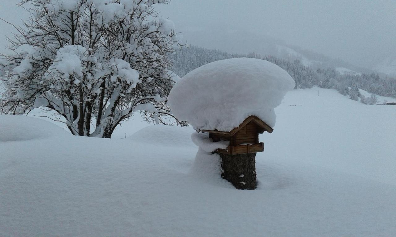 Apartamento Haus Kirchner Flachau Exterior foto